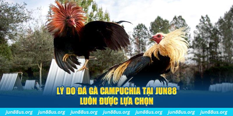 mcw 19 tài xỉu nổ hũ là gì