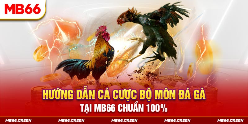 mcw 19 xổ số bình định