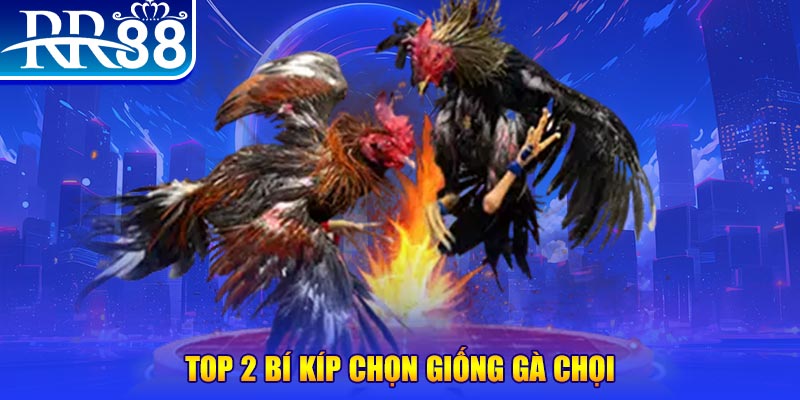 mcw 19 đăng nhập poker số 1
