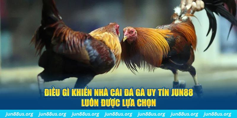 mcw 19 qq88 nổ hũ bắn cá