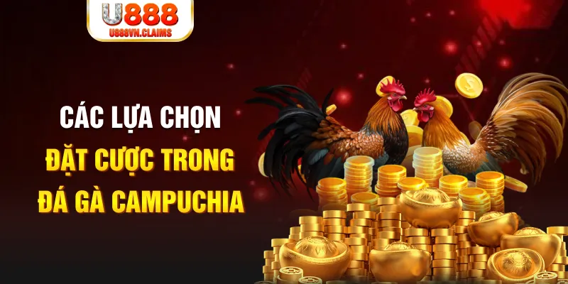 mcw 19 SW Xổ Số