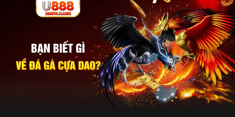 mcw 19 xổ số kiến thiết