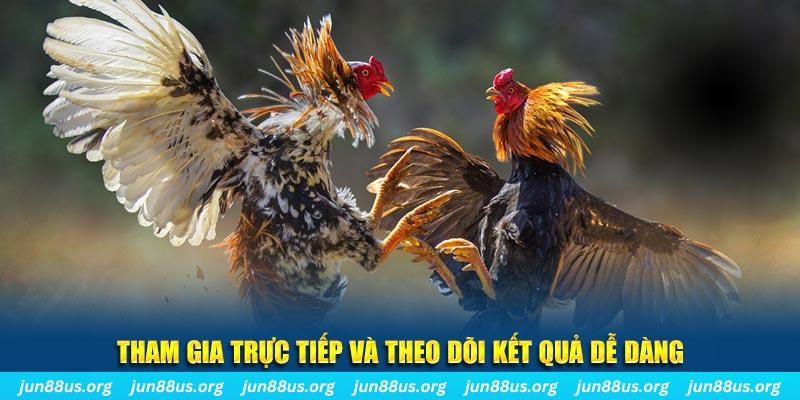 mcw 19 đá gà trực tiếp bình luận viên