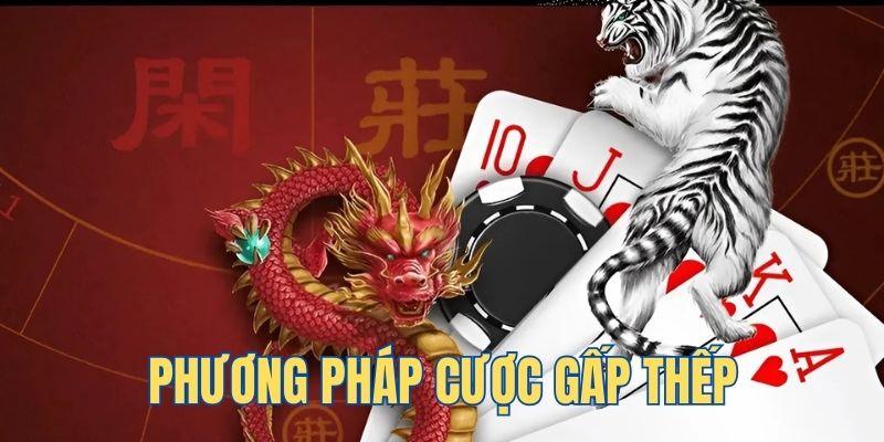 mcw 19 ga choi