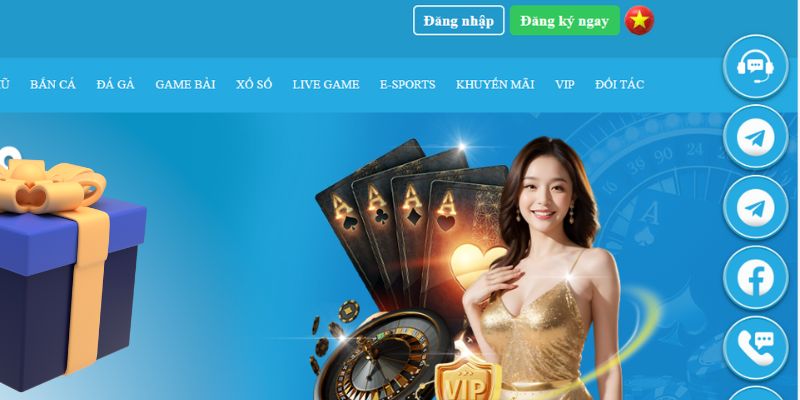 mcw 19 slot là gì dịch