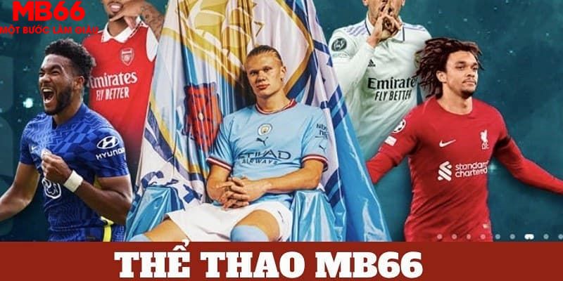 mcw 19 tỷ lệ cá cược châu á là gì