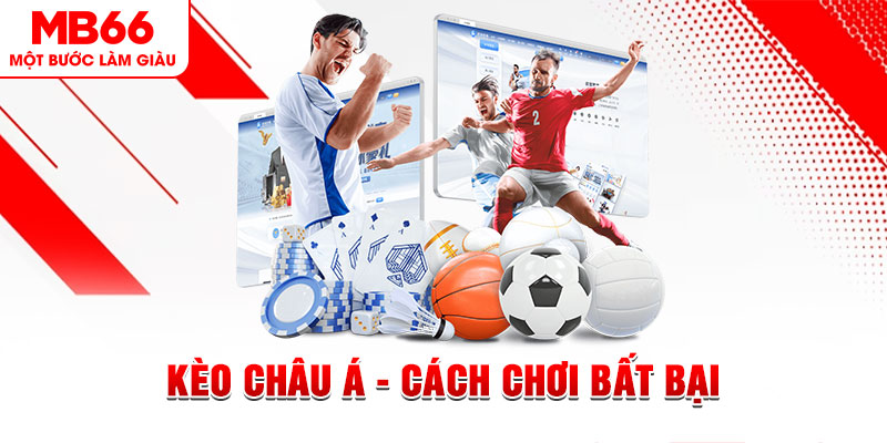 mcw 19 HB Điện Tử