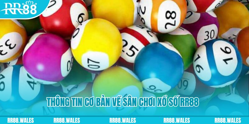 mcw 19 tải game xếp bài trên máy tính