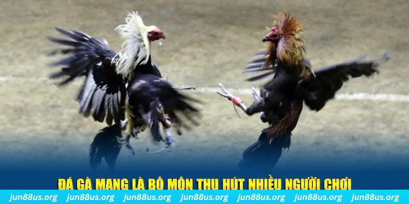 mcw 19 xổ số cà mau