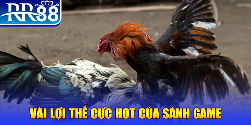 mcw 19 đăng nhập lô đề đổi thưởng