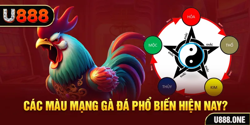 mcw 19 đăng nhập mậu binh