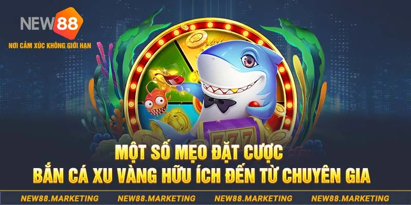 mcw 19 what is a casino deposit bonus