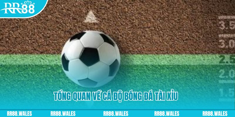mcw 19 đăng nhập lô đề online