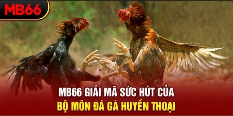 mcw 19 Phi Đội Ưu Tú