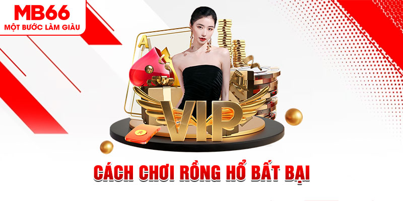 mcw 19 gà chọi cậu thanh