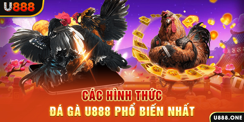 mcw 19 DB Trực Tuyến