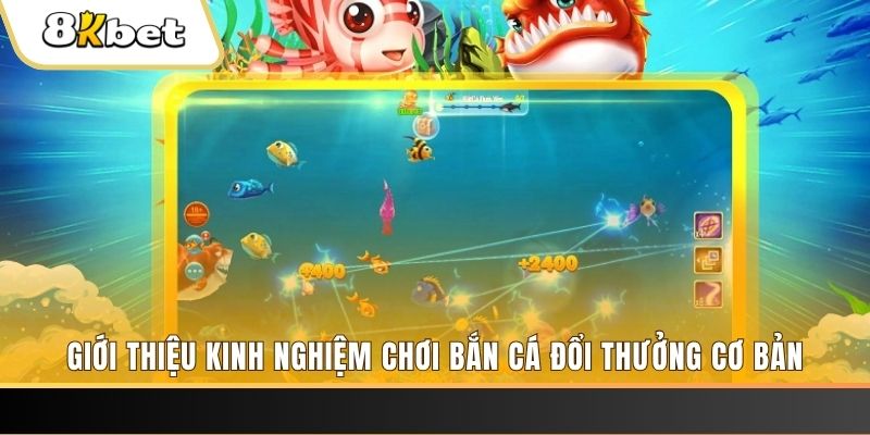 mcw 19 xổ số miền bắc thứ năm hàng tuần