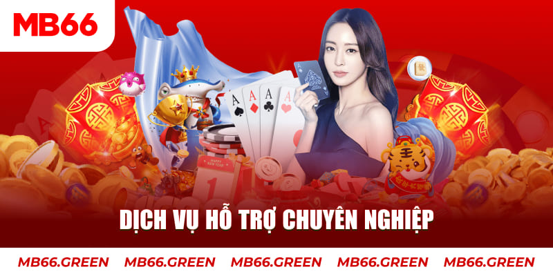 mcw 19 AOG Đá Gà