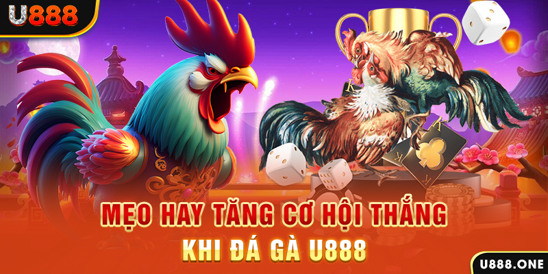mcw 19 trực tiếp gà chọi c1
