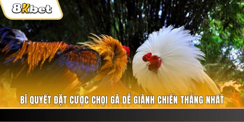 mcw 19 Tài Xỉu 2