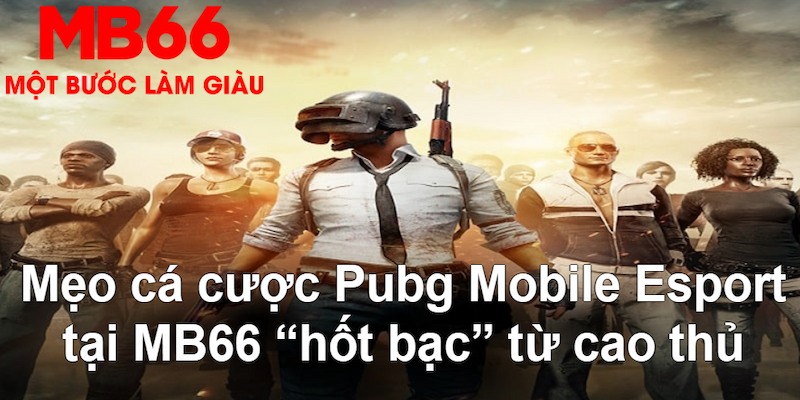 mcw 19 gà chọi mộc hóa