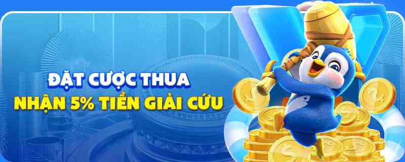 mcw 19 gà chọi cu cần