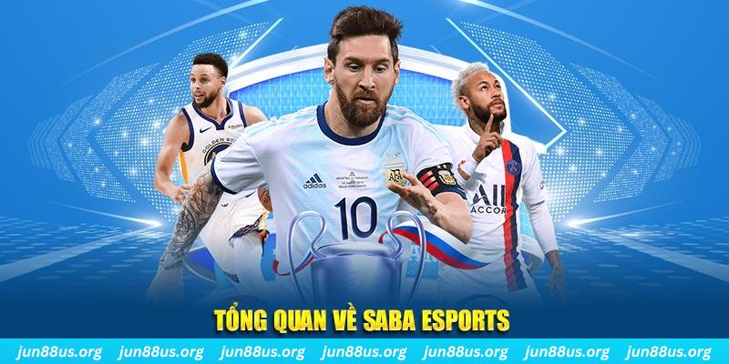 mcw 19 gà chọi c1 tv trực tiếp hôm nay